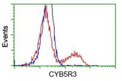 Flow Cytometry: CYB5R3 Antibody (OTI2A10) - Azide and BSA Free [NBP2-70572]