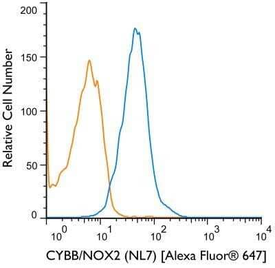 Flow Cytometry: CYBB/NOX2 Antibody (NL7) - BSA Free [NBP1-41012]