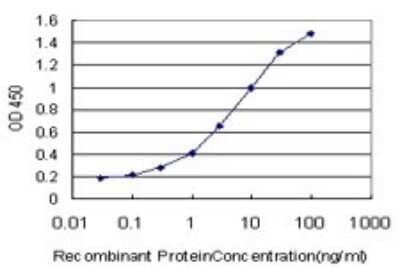 ELISA: CYP24A1 Antibody (1F8) [H00001591-M07]