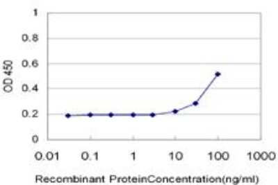 ELISA: CaM Kinase II delta Antibody (1B11) [H00000817-M03]