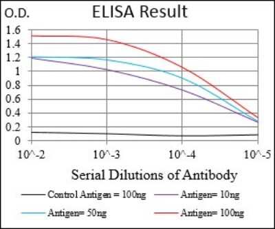 ELISA: CaM Kinase II gamma Antibody (8G10C1) - BSA Free [NBP2-37262]