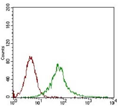 Flow Cytometry: CaM Kinase II gamma Antibody (8G10C1) - BSA Free [NBP2-37262]