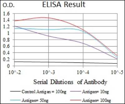 ELISA: CaMKIV Antibody (8C5B8) - BSA Free [NBP2-37428]