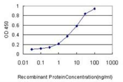 ELISA: CaMKK2 Antibody (1A11) [H00010645-M01]