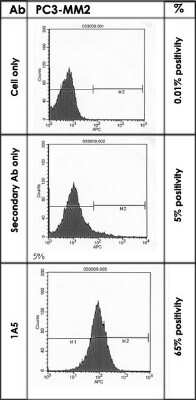Flow Cytometry: Cadherin-11 Antibody (1A5) [H00001009-M04]