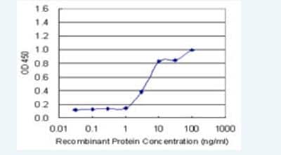 ELISA: Cadherin-11 Antibody (3C8) [H00001009-M05-100ug]