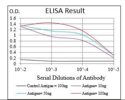 ELISA: Cadherin-17 Antibody (7D10E1) - BSA Free [NBP2-52439]