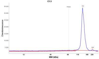Simple Western: Cadherin-17 Antibody [NBP1-88239]