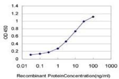 ELISA: Calcineurin B Antibody (4E1) [H00005534-M01]