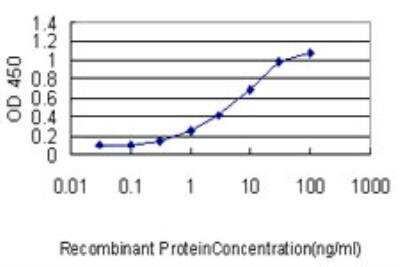 ELISA: Calmodulin 2 Antibody (3F4-G5) [H00000805-M01]