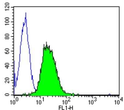 Flow Cytometry: Calmodulin Antibody (2D1) - BSA Free [NB120-2860]