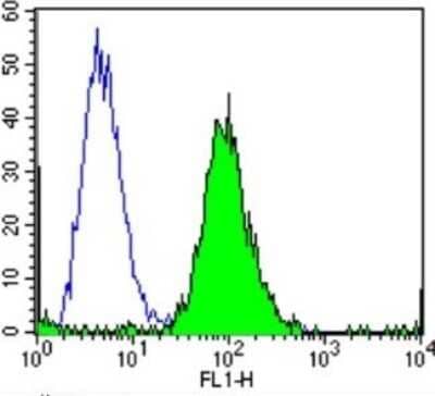 Flow Cytometry: Calmodulin Antibody (2D1) - BSA Free [NB120-2860]