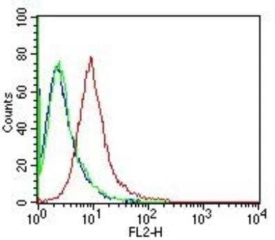 Flow (Intracellular): Calnexin Antibody (1C2.2D11) - BSA Free [NBP2-36570]