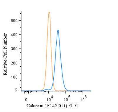 Flow (Intracellular): Calnexin Antibody (1C2.2D11) - BSA Free [NBP2-36570]