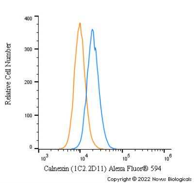 Flow (Intracellular): Calnexin Antibody (1C2.2D11) - BSA Free [NBP2-36570]