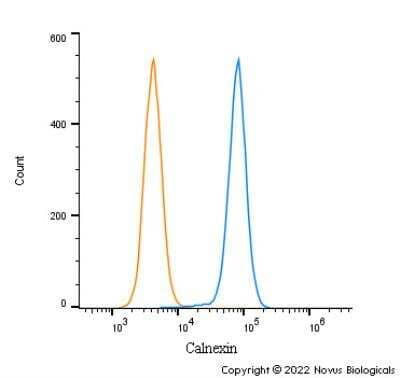 Flow Cytometry: Calnexin Antibody - BSA Free [NB100-1965]