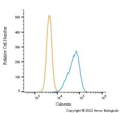 Flow Cytometry: Calnexin Antibody - BSA Free [NB100-1965]
