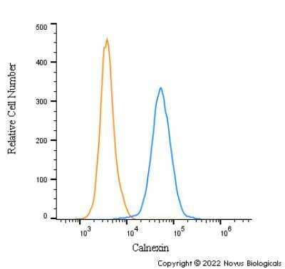 Flow Cytometry: Calnexin Antibody - BSA Free [NB100-1965]