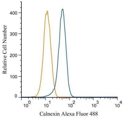 Flow Cytometry: Calnexin Antibody - BSA Free [NB100-1974]