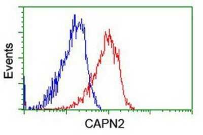 Flow Cytometry: Calpain 2 Antibody (OTI1F4) - Azide and BSA Free [NBP2-70335]
