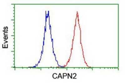 Flow Cytometry: Calpain 2 Antibody (OTI1F4) - Azide and BSA Free [NBP2-70335]