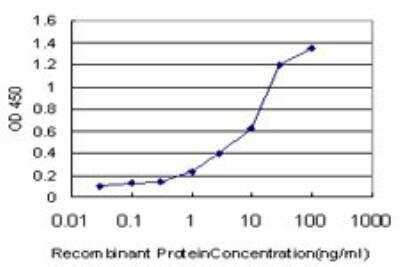 ELISA: Calpain 9 Antibody (3A6) [H00010753-M02]