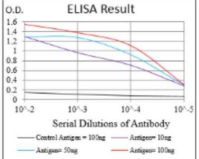 ELISA: Calponin 1 Antibody (1H5B5) - BSA Free [NBP2-52445]