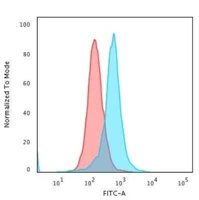 Flow Cytometry: Calponin 1 Antibody (CALP) - Azide and BSA Free [NBP2-47712]