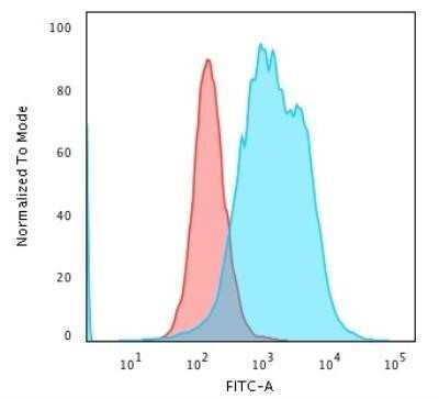 Flow Cytometry: Calponin 1 Antibody (CNN1/1408R) - Azide and BSA Free [NBP2-54378]