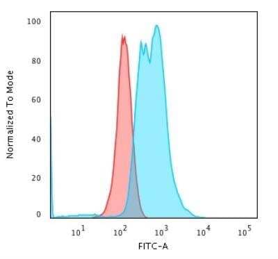 Flow Cytometry: Calponin 1 Antibody (CNN1/832 + CALP) [NBP2-44482]