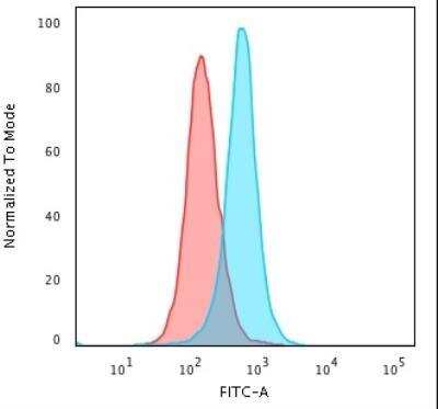 Flow Cytometry: Calponin 1 Antibody (SPM169) - Azide and BSA Free [NBP2-47713]