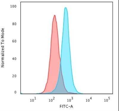 Flow Cytometry: Calponin 1 Antibody (SPM169) [NBP2-44480]