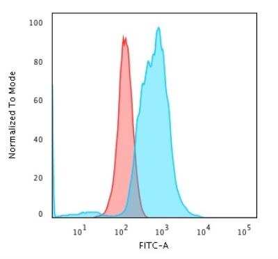Flow Cytometry: Calponin 1 Antibody (rCNN1/832) [NBP2-53222]