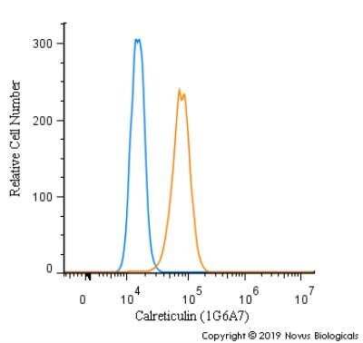 Flow Cytometry: Calreticulin Antibody (1G6A7) - Azide and BSA Free [NBP2-80610]