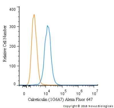 Flow Cytometry: Calreticulin Antibody (1G6A7)Azide and BSA Free [NBP2-80610]
