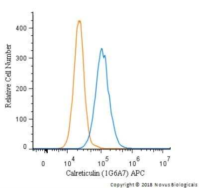 Flow Cytometry: Calreticulin Antibody (1G6A7)Azide and BSA Free [NBP2-80610]