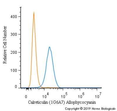Flow Cytometry: Calreticulin Antibody (1G6A7) - Azide and BSA Free [NBP2-80610]