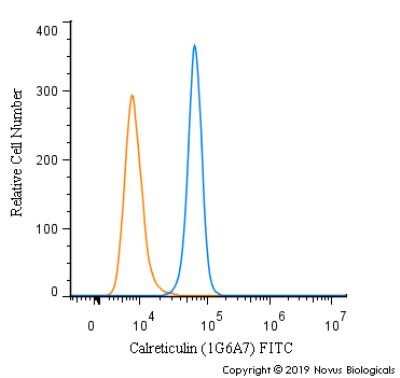 Flow Cytometry: Calreticulin Antibody (1G6A7) - Azide and BSA Free [NBP2-80610]