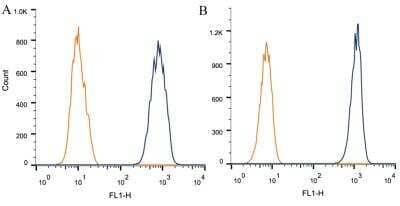 Flow (Intracellular): Calreticulin Antibody (1G6A7) - BSA Free [NBP1-47518]