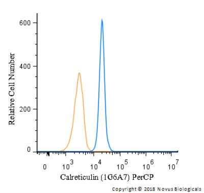 Flow (Intracellular): Calreticulin Antibody (1G6A7) - BSA Free [NBP1-47518]