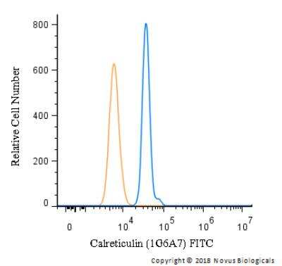 Flow (Intracellular): Calreticulin Antibody (1G6A7) - BSA Free [NBP1-47518]