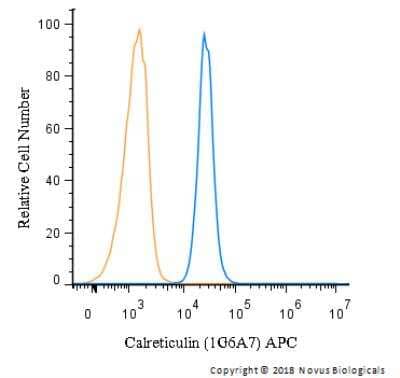 Flow (Intracellular): Calreticulin Antibody (1G6A7) - BSA Free [NBP1-47518]
