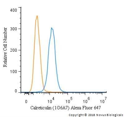 Flow Cytometry: Calreticulin Antibody (1G6A7)BSA Free [NBP1-47518]
