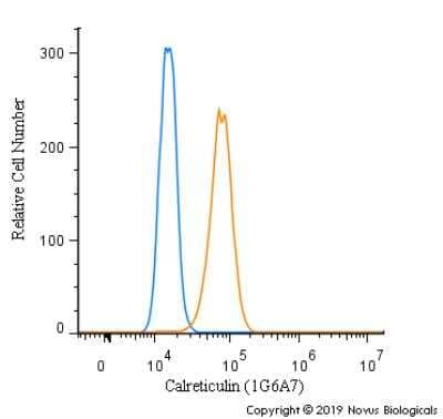 Flow Cytometry: Calreticulin Antibody (1G6A7) - BSA Free [NBP1-47518]