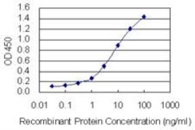 ELISA: Calumenin Antibody (6C8) [H00000813-M02]