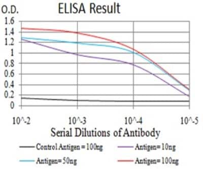ELISA: Canine Parvovirus Antibody (2G10A3) - BSA Free [NBP2-61721]