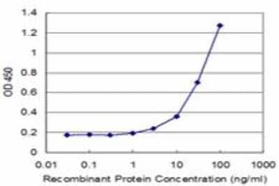 ELISA: Carbohydrate Sulfotransferase 4/CHST4 Antibody (4D7) [H00010164-M10]