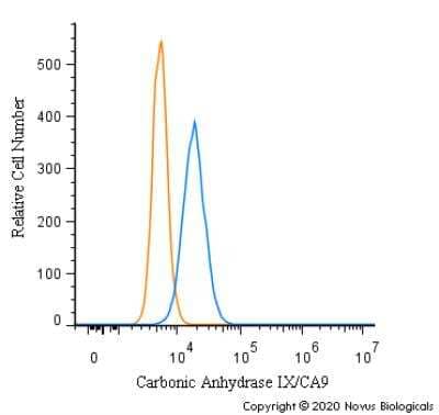 Flow Cytometry of A431 Cells Stained with Carbonic Anhydrase IX/CA9 Antibody