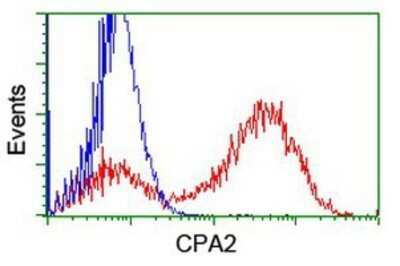 Flow Cytometry: Carboxypeptidase A2/CPA2 Antibody (OTI1C7) - Azide and BSA Free [NBP2-70440]