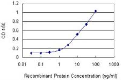 ELISA: Casein Kinase 1 delta Antibody (4H8) [H00001453-M09]